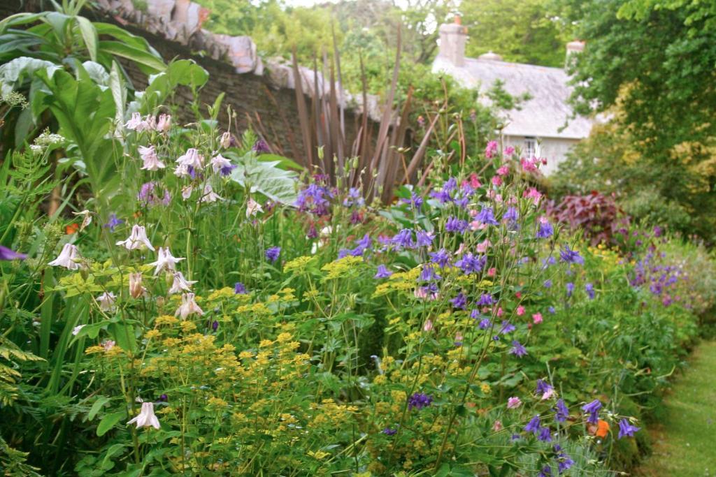 Bed and Breakfast The Old Rectory Boscastle Zewnętrze zdjęcie